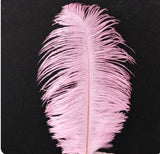 Red 6-8 Inches Ostrich Feathers 100 Pieces