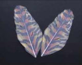 Printed Feathers for Earrings, Crafts & DIY | 2 Pieces