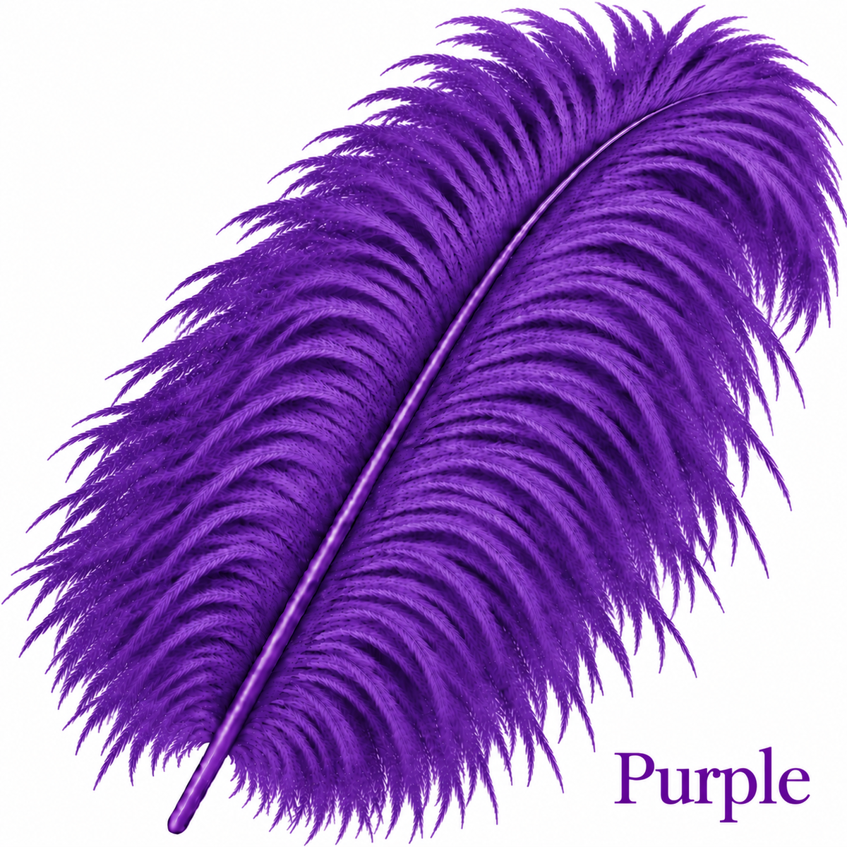 22-24 Inch Ostrich Feathers | 12 Pieces