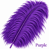 22-24 Inch Ostrich Feathers | 12 Pieces