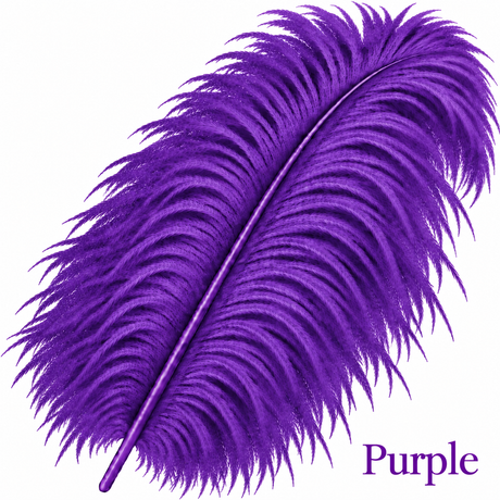 22-24 Inch Ostrich Feathers | 12 Pieces