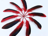 100 Pieces Dyed Duck Coque Feathers for Crafts & Decor FeatherParadise.com