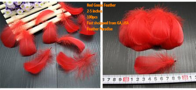 Buy 100pcs Goose Nagorie Loose Feather Fillers – 3.3–6" Feather Confetti for Crafts, DIY Projects, Fly Tying & Decorations FeatherParadise.com