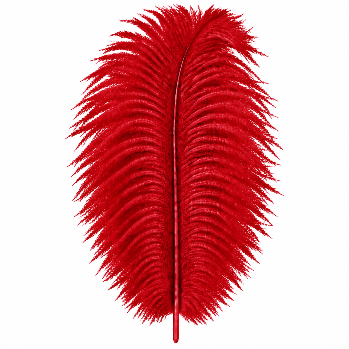12-14 Inch Ostrich Feathers | 12 Pieces