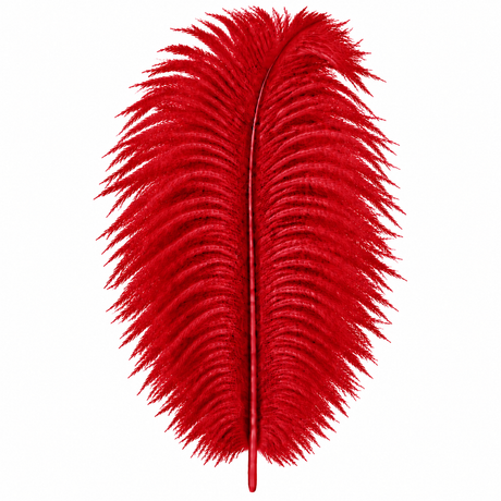 12-14 Inch Ostrich Feathers | 12 Pieces