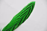 12 Pieces Pheasant Feathers FeatherParadise.com