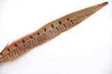 12 Pieces Pheasant Feathers FeatherParadise.com
