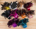 Rooster Feathers
