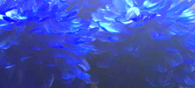 14 Inch Decorative Goose Feather Ball – Event Decor | 1 Piece FeatherParadise.com