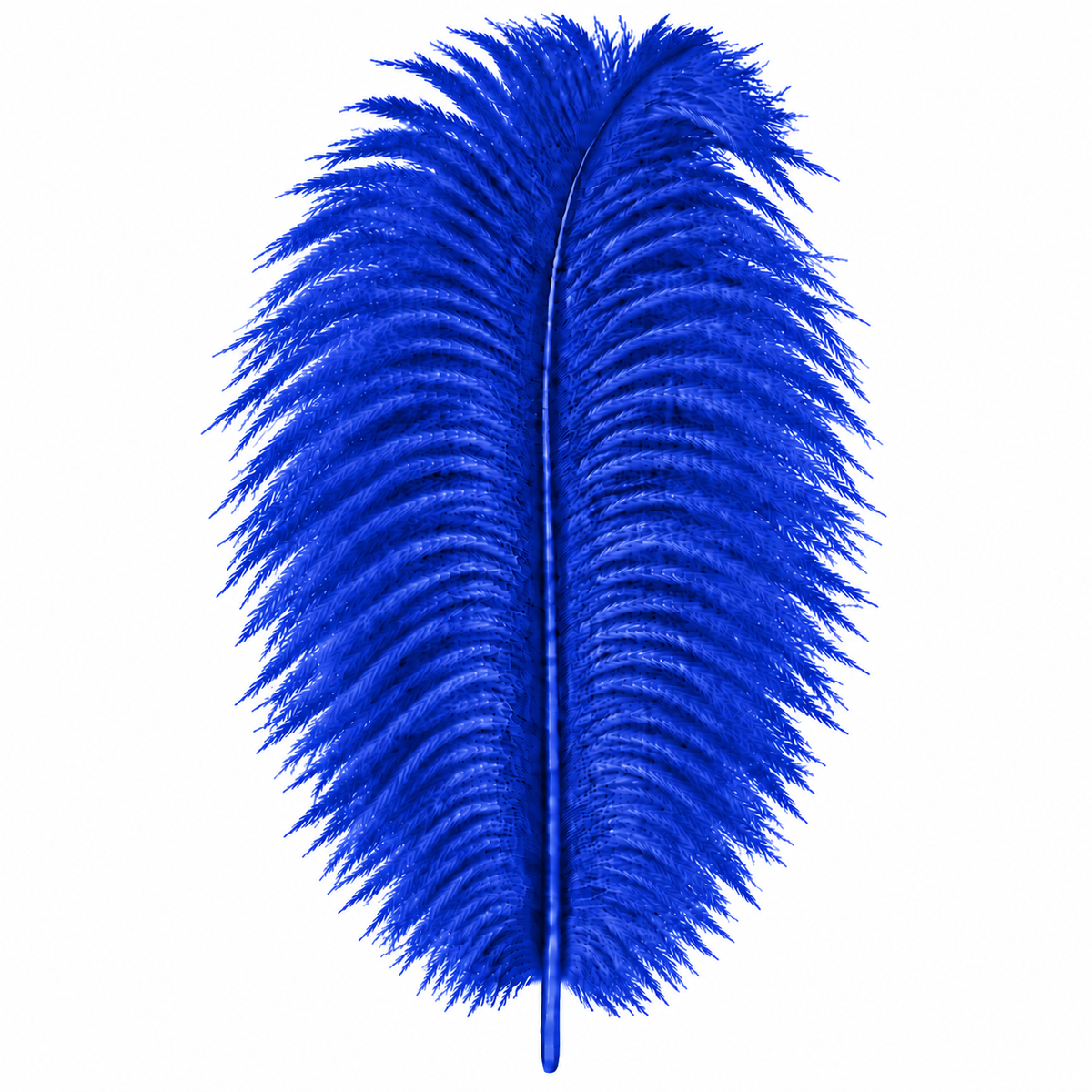 12-14 Inch Ostrich Feathers | 12 Pieces