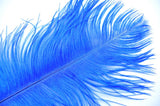 Pink Ostrich Feathers 24-26 Inches
