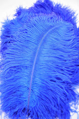 26-28 Inch Ostrich Feathers | 50 Pieces FeatherParadise.com