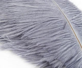 8-10 Inch Ostrich Feathers | 100 Pieces