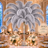 22-24 Inch Ostrich Feathers | 12 Pieces