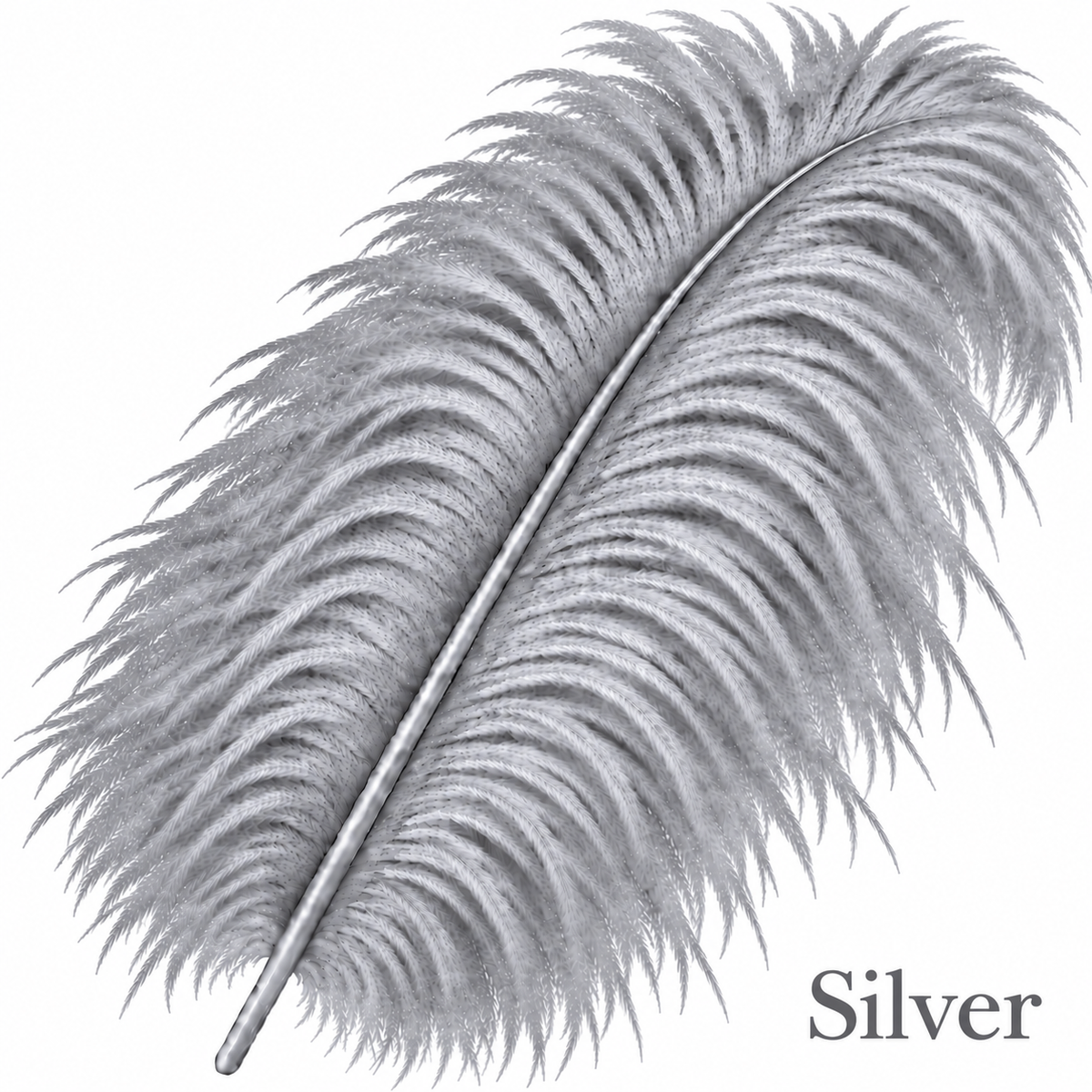 22-24 Inch Ostrich Feathers | 12 Pieces