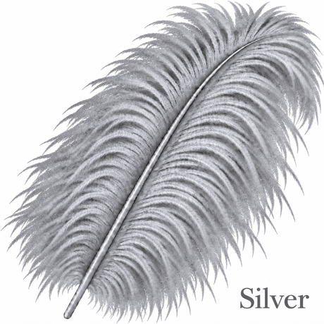 22-24 Inch Ostrich Feathers | 12 Pieces