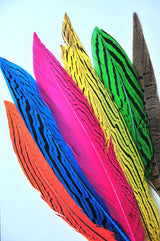 6–8 Inch Silver Pheasant Tail Feathers | 12 Pieces