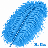 22-24 Inch Ostrich Feathers | 12 Pieces