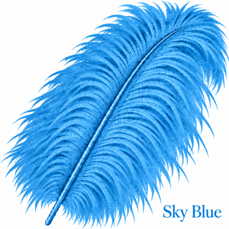 22-24 Inch Ostrich Feathers | 12 Pieces
