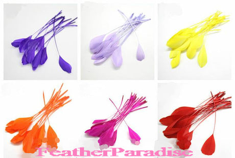 2 Yards 6-8" Stripped Feather Fringe FeatherParadise.com