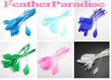 2 Yards 6-8" Stripped Feather Fringe FeatherParadise.com