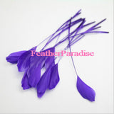 2 Yards 6-8" Stripped Feather Fringe FeatherParadise.com