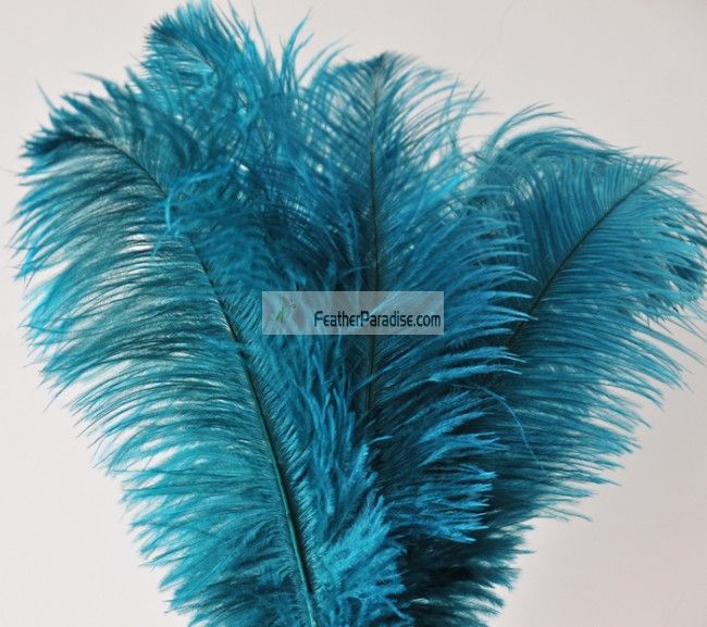 8-10 Inch Ostrich Feathers | 12 Pieces