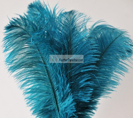 Silver Ostrich Feathers 22-24 Inches
