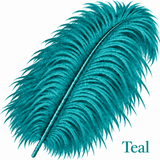 22-24 Inch Ostrich Feathers | 12 Pieces