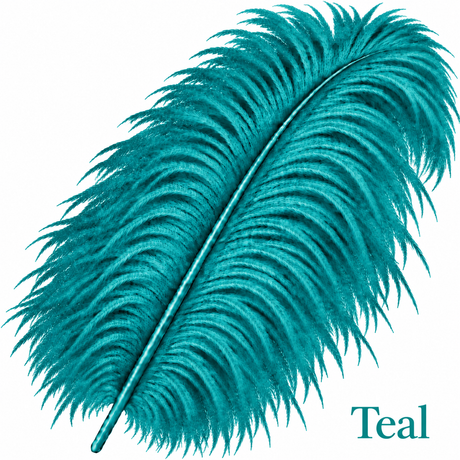 22-24 Inch Ostrich Feathers | 12 Pieces