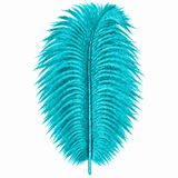 12-14 Inch Ostrich Feathers | 12 Pieces