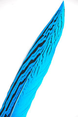 6–8 Inch Silver Pheasant Tail Feathers | 12 Pieces