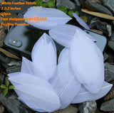 100 Pieces Goose Feather Petals Confetti FeatherParadise.com