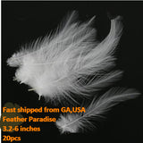 Buy Dyed Loose Rooster Hackle Feathers – 20pcs per Bag (3.3–6")