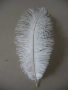 Aqua Blue Ostrich Feathers 24-26 Inches