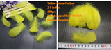 Buy 100pcs Goose Nagorie Loose Feather Fillers – 3.3–6" Feather Confetti for Crafts, DIY Projects, Fly Tying & Decorations FeatherParadise.com