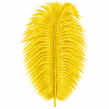 12-14 Inch Ostrich Feathers | 12 Pieces