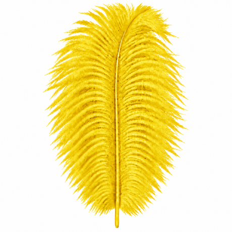 12-14 Inch Ostrich Feathers | 12 Pieces