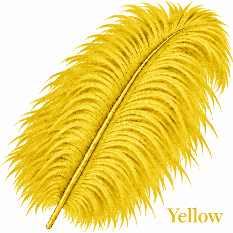 22-24 Inch Ostrich Feathers | 12 Pieces