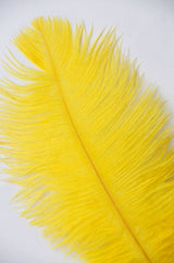White Ostrich Feathers 24-26 Inches